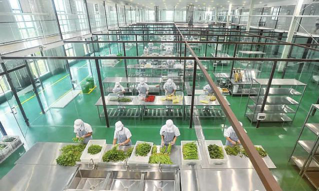 中央香蕉视频91下载设备