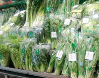 成都知名商用香蕉视频91下载设备厂为你揭示那些食物千万不能用保鲜膜