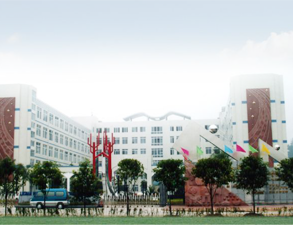 乐山外国语小学学校食堂香蕉视频91下载设备工程项目