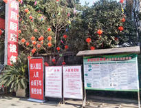 疫情无情人有情，我为抗疫做贡献！
